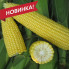 СВ 1514 СК F1 – Кукурудза цукрова, Seminis