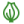 Цибуля 1