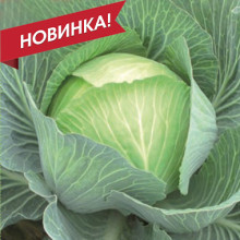 СВ 3404 ЖЛ F1