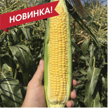 СВ 1446 СД F1 СВ 1446 СД F1