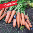 СВ 3118 ДХ F1 – Морква, Seminis