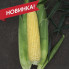 СВ 1514 СК F1 – Кукурудза цукрова, Seminis