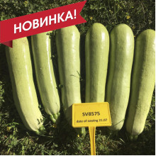 СВ 8575 ЯЛ F1